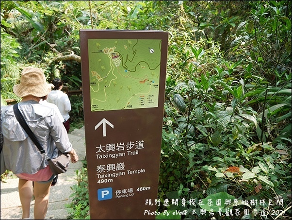 太興岩景觀茶園步道-10.jpg 太興岩景觀茶園步道-10.jpg