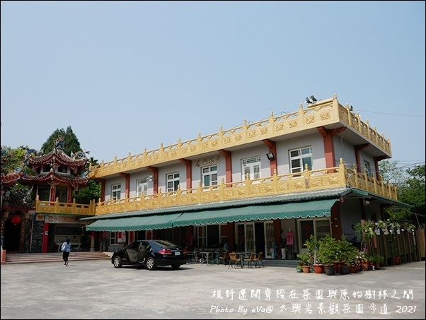 太興岩景觀茶園步道-18.jpg 太興岩景觀茶園步道-18.jpg