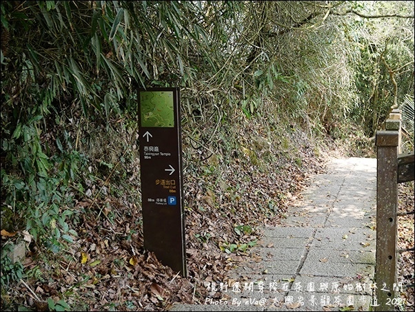 太興岩景觀茶園步道-13.jpg 太興岩景觀茶園步道-13.jpg