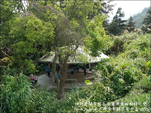 太興岩景觀茶園步道-09.jpg 太興岩景觀茶園步道-09.jpg