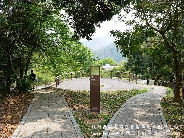 太興岩景觀茶園步道-15.jpg 太興岩景觀茶園步道-15.jpg