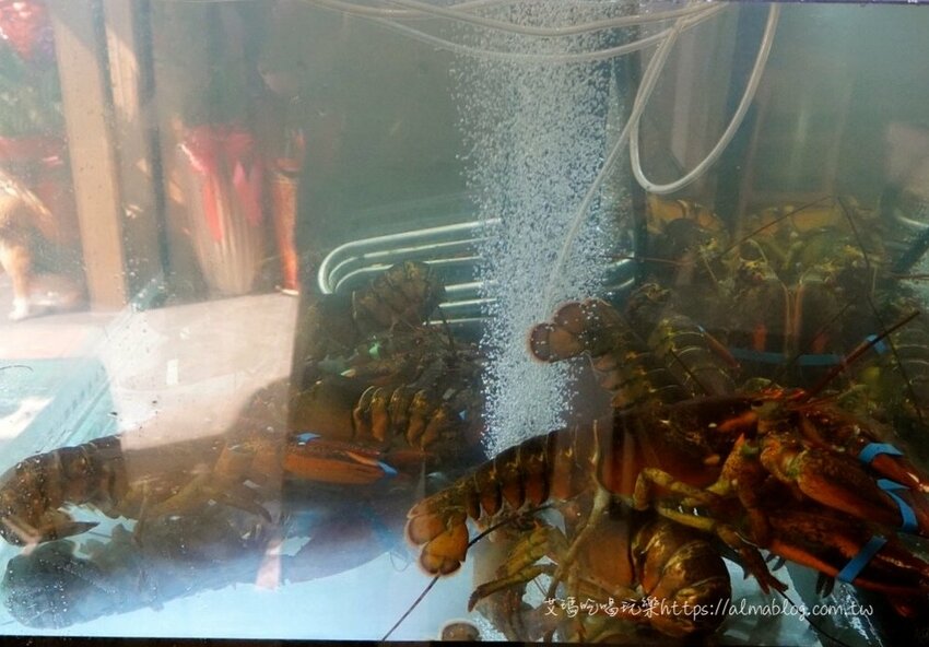 〖山崎昆布鍋物〗點鍋物+打卡升級成海陸鍋!加碼抽波士頓活龍蝦.自助飲料冰淇淋無限供應 - 艾瑪▪ 享受吃喝玩樂札記