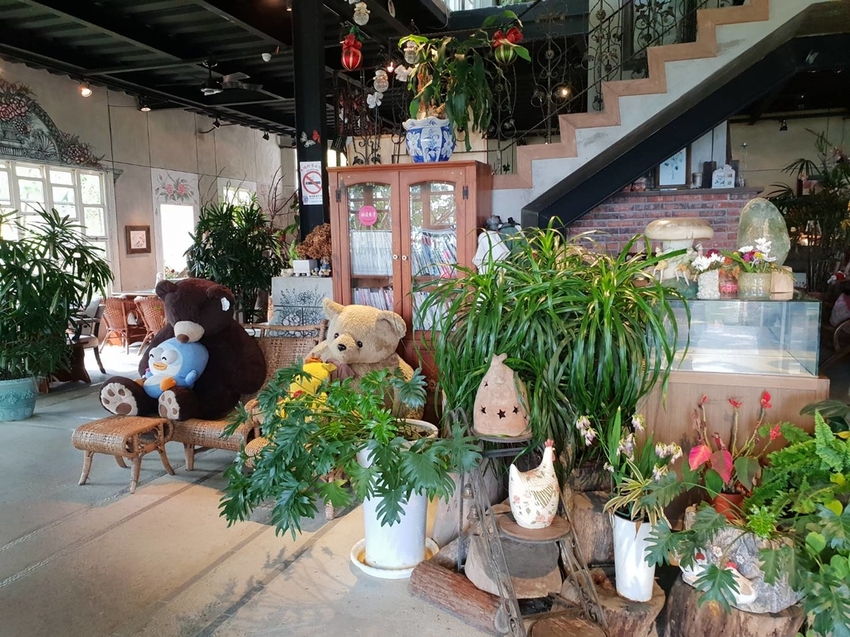 【新竹.尖石鄉】紅薔薇景觀餐廳。寵物友善餐廳。內有店貓十隻。整個餐廳光線超好超好拍