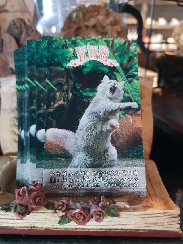 【新竹.尖石鄉】紅薔薇景觀餐廳。寵物友善餐廳。內有店貓十隻。整個餐廳光線超好超好拍