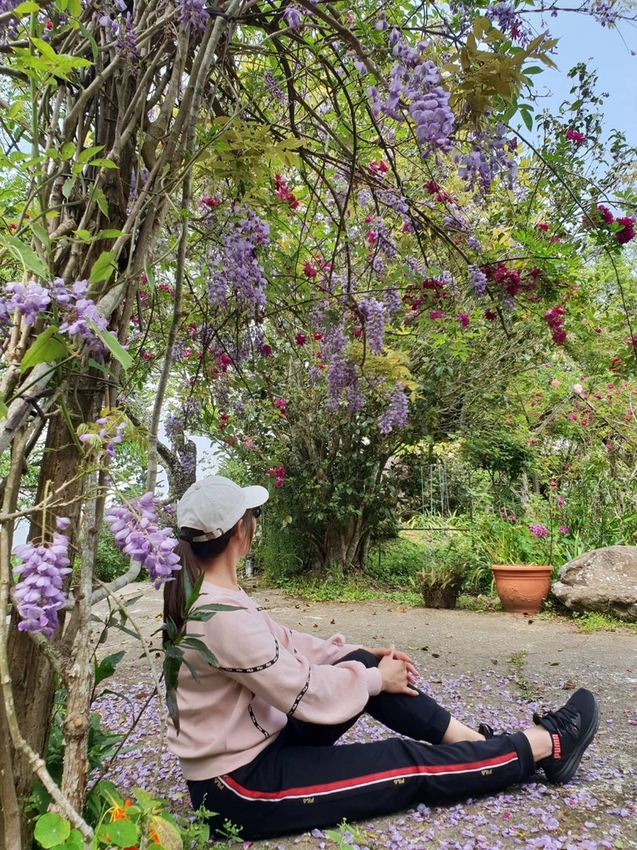 【新竹.尖石鄉】紅薔薇景觀餐廳。寵物友善餐廳。內有店貓十隻。整個餐廳光線超好超好拍