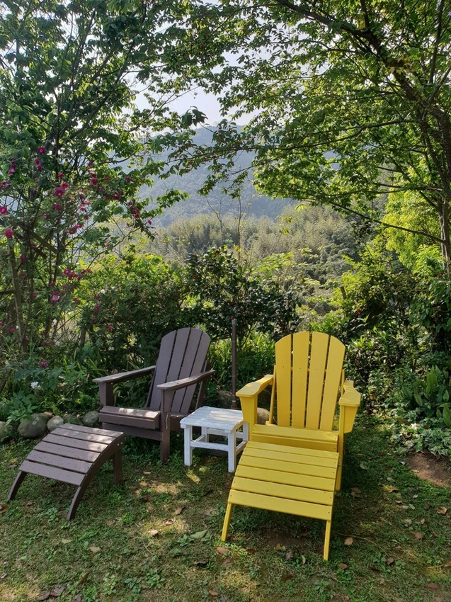 【新竹.尖石鄉】紅薔薇景觀餐廳。寵物友善餐廳。內有店貓十隻。整個餐廳光線超好超好拍