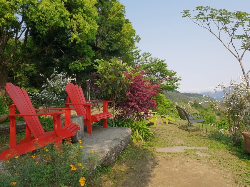 【新竹.尖石鄉】紅薔薇景觀餐廳。寵物友善餐廳。內有店貓十隻。整個餐廳光線超好超好拍