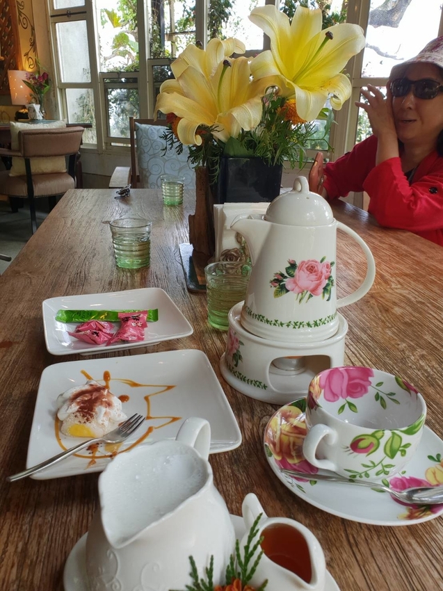 【新竹.尖石鄉】紅薔薇景觀餐廳。寵物友善餐廳。內有店貓十隻。整個餐廳光線超好超好拍