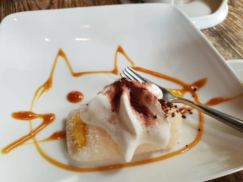 【新竹.尖石鄉】紅薔薇景觀餐廳。寵物友善餐廳。內有店貓十隻。整個餐廳光線超好超好拍