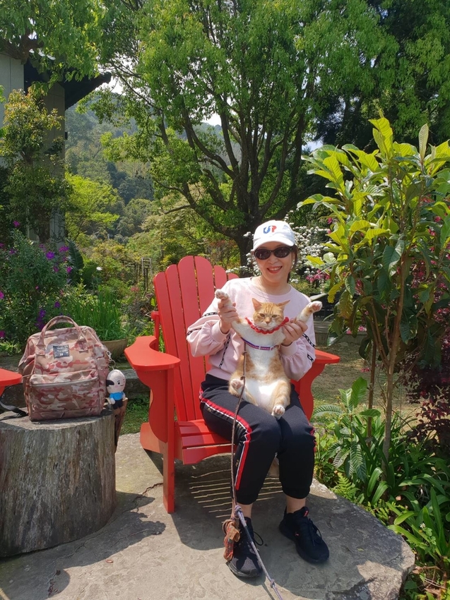 【新竹.尖石鄉】紅薔薇景觀餐廳。寵物友善餐廳。內有店貓十隻。整個餐廳光線超好超好拍