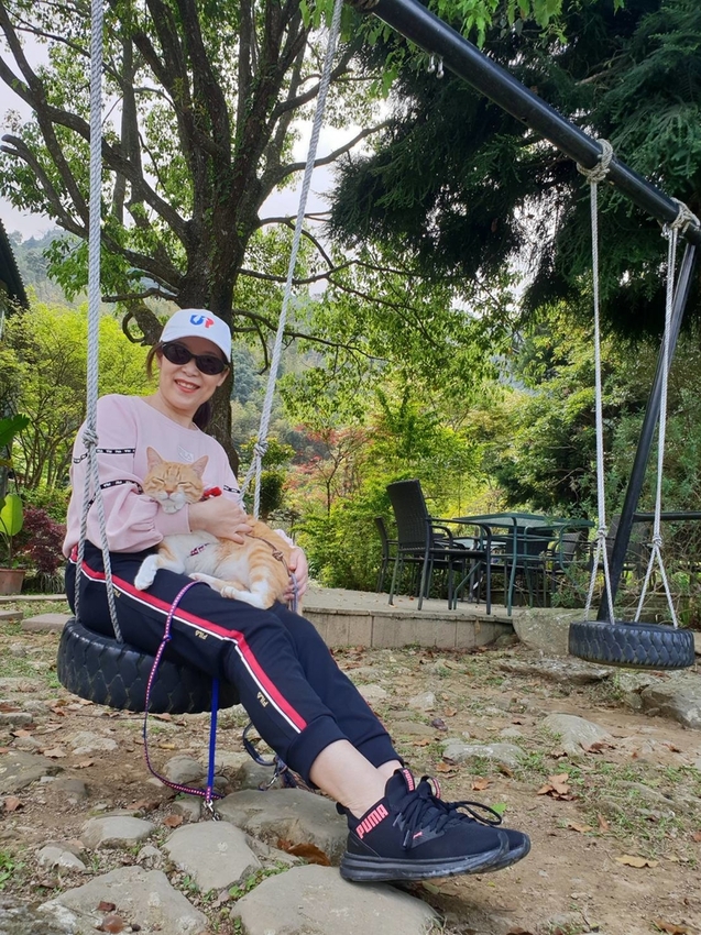 【新竹.尖石鄉】紅薔薇景觀餐廳。寵物友善餐廳。內有店貓十隻。整個餐廳光線超好超好拍