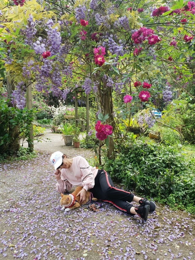 【新竹.尖石鄉】紅薔薇景觀餐廳。寵物友善餐廳。內有店貓十隻。整個餐廳光線超好超好拍