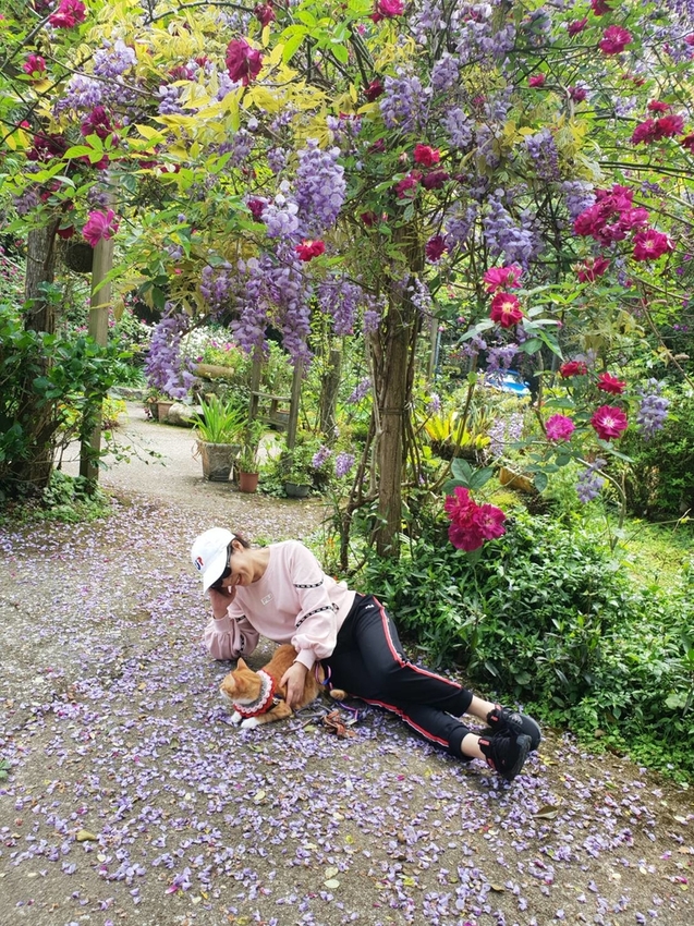 【新竹.尖石鄉】紅薔薇景觀餐廳。寵物友善餐廳。內有店貓十隻。整個餐廳光線超好超好拍