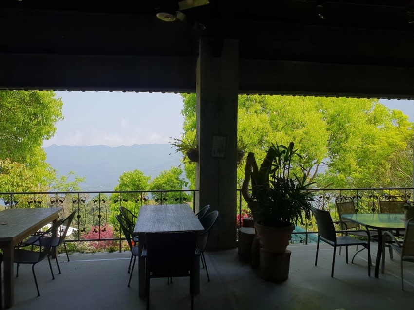 【新竹.尖石鄉】紅薔薇景觀餐廳。寵物友善餐廳。內有店貓十隻。整個餐廳光線超好超好拍