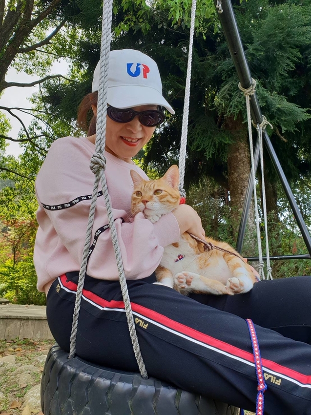 【新竹.尖石鄉】紅薔薇景觀餐廳。寵物友善餐廳。內有店貓十隻。整個餐廳光線超好超好拍