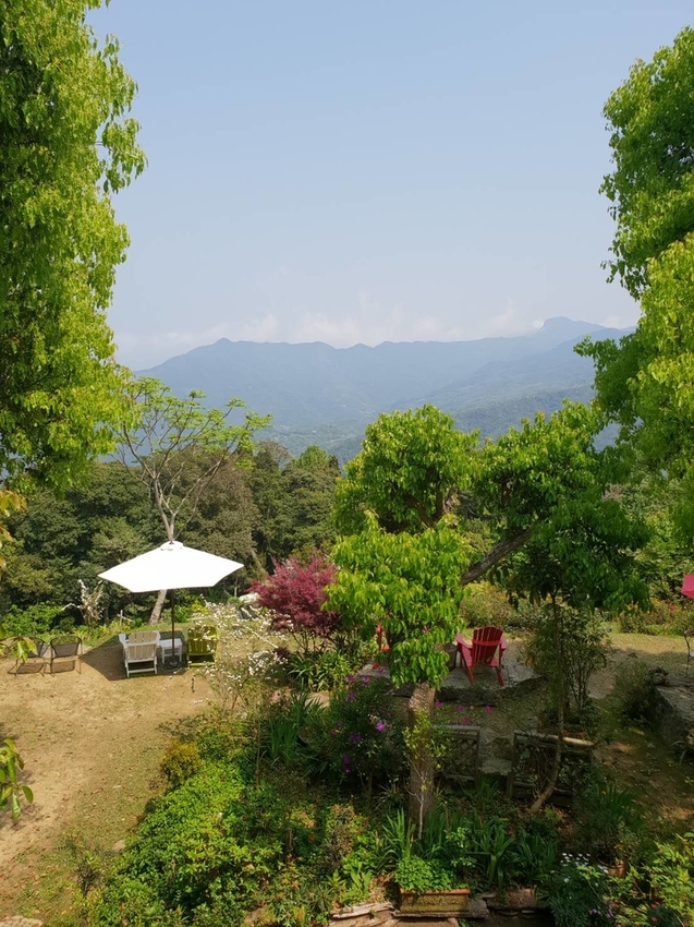 【新竹.尖石鄉】紅薔薇景觀餐廳。寵物友善餐廳。內有店貓十隻。整個餐廳光線超好超好拍