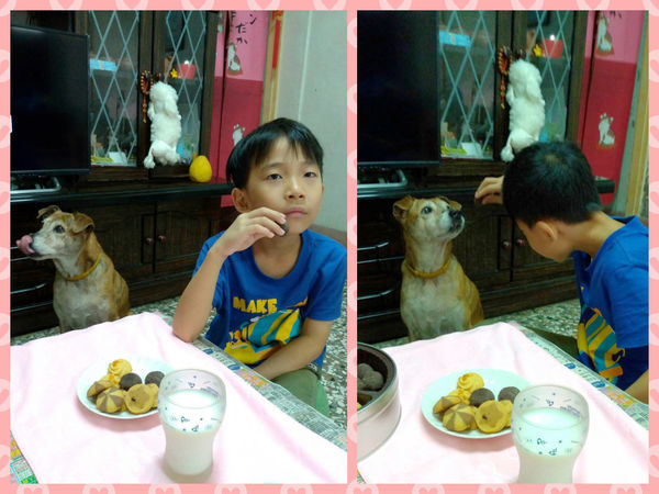 姊妹下午茶.辦公室茶點推薦~奇華餅家/曲奇禮盒，佳節送禮自用皆適宜。