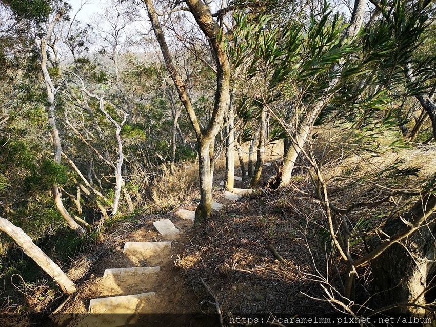 32 文山步道另一側.jpg 32 文山步道另一側.jpg