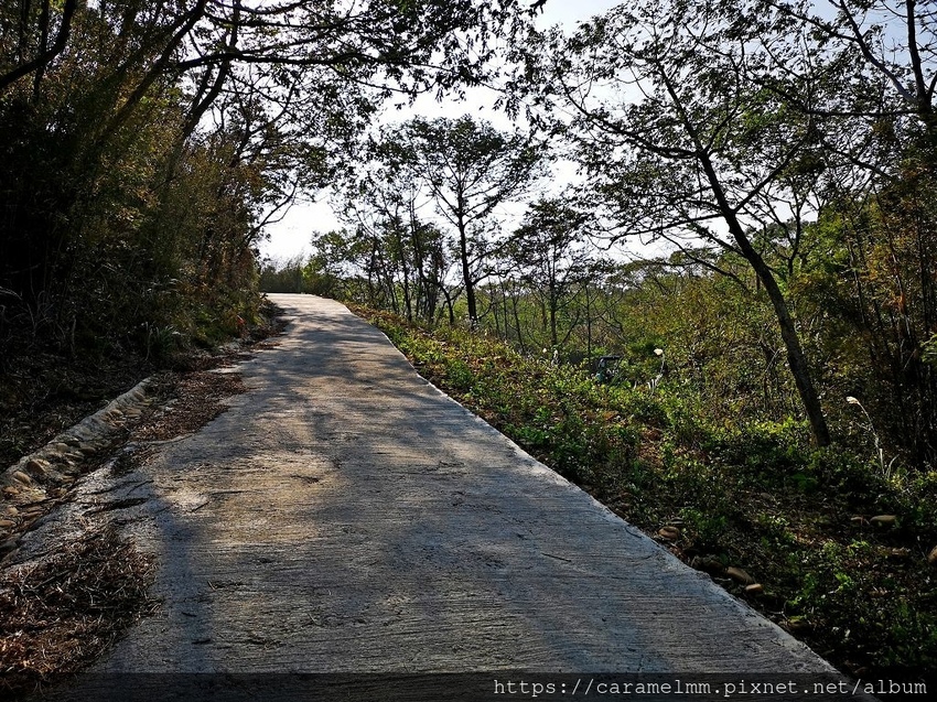 10 文山步道 第一段.jpg 10 文山步道 第一段.jpg