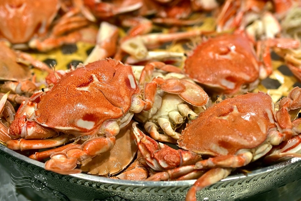 【挪亞方舟美食旗艦店】扁蟹