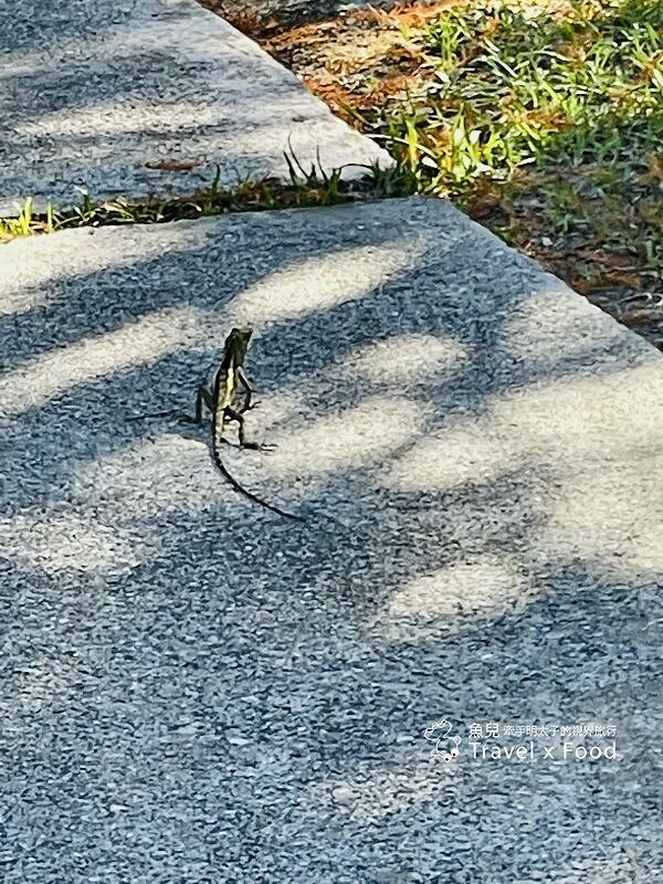 湖景花園，歐式風情～花蓮版普羅旺斯，南法山居民宿 @魚兒 x 牽手明太子的「視」界旅行
