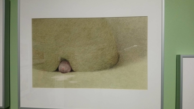 波隆納畫展 (76).jpg - 波隆那畫展