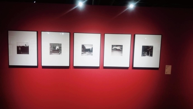 波隆納畫展 (33).jpg - 波隆那畫展