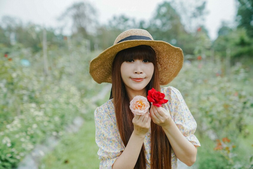 【屏東九如｜美食】大花農場。屏東秘境景點，超大有機玫瑰園，可親採有機玫瑰，玫瑰創意料理披薩意外好吃