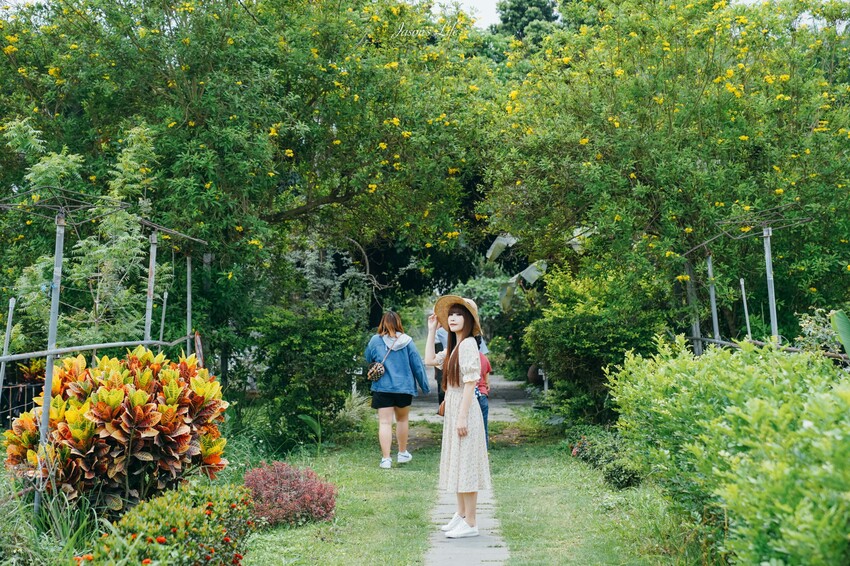 【屏東九如｜美食】大花農場。屏東秘境景點，超大有機玫瑰園，可親採有機玫瑰，玫瑰創意料理披薩意外好吃