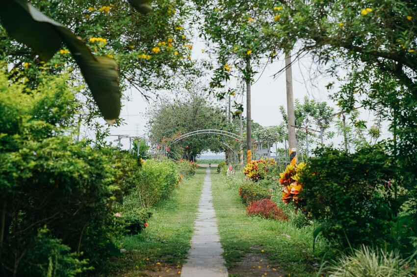 【屏東九如｜美食】大花農場。屏東秘境景點，超大有機玫瑰園，可親採有機玫瑰，玫瑰創意料理披薩意外好吃