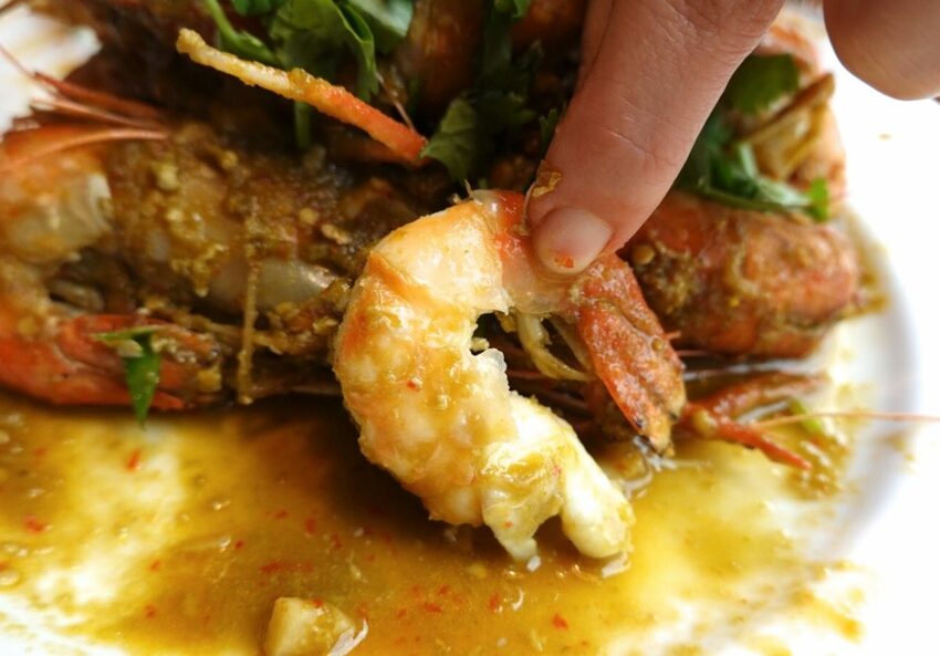 五顆星活蝦餐廳！激推“泰辣招牌蝦”．屏東里港每日新鮮直送．17種活蝦料理/白飯免費吃/停車方便 - 艾瑪▪ 享受吃喝玩樂札記