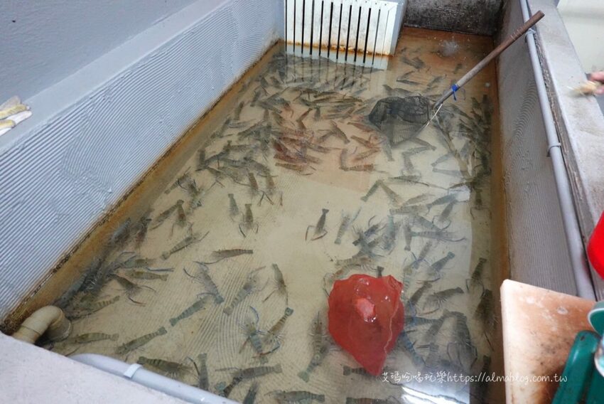 五顆星活蝦餐廳！激推“泰辣招牌蝦”．屏東里港每日新鮮直送．17種活蝦料理/白飯免費吃/停車方便 - 艾瑪▪ 享受吃喝玩樂札記