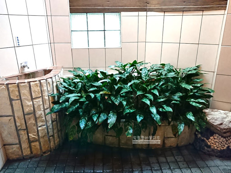 北投溫泉 麗之湯溫泉會館 銀光巷裡的溫泉