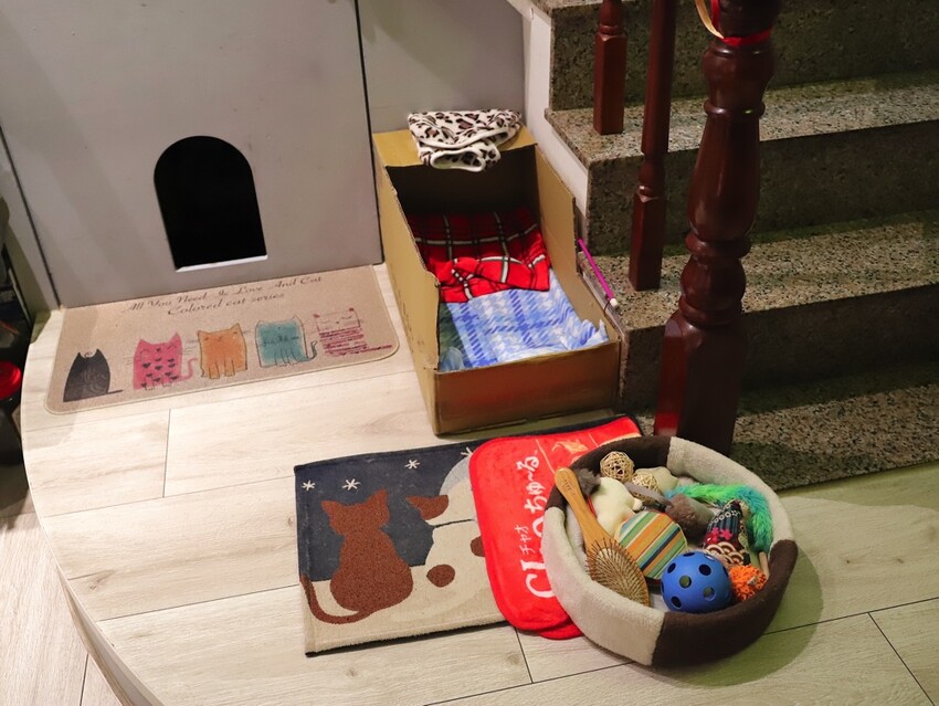 十公分厚的厚片三明治～ 還能吃到厚嫩蛋！超～浮誇美味！