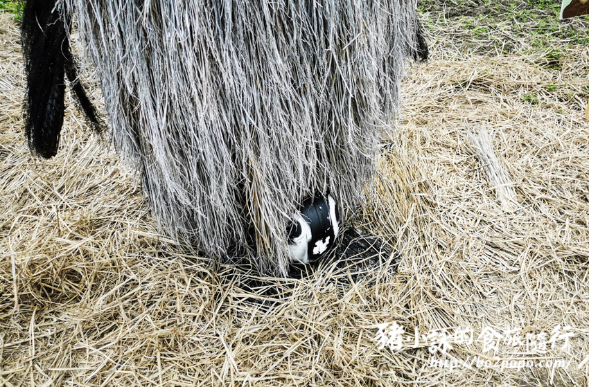 花蓮。富里》2021花蓮富里稻草藝術季，大型稻草動物可愛又好拍 - 豬小詠的食旅隨行