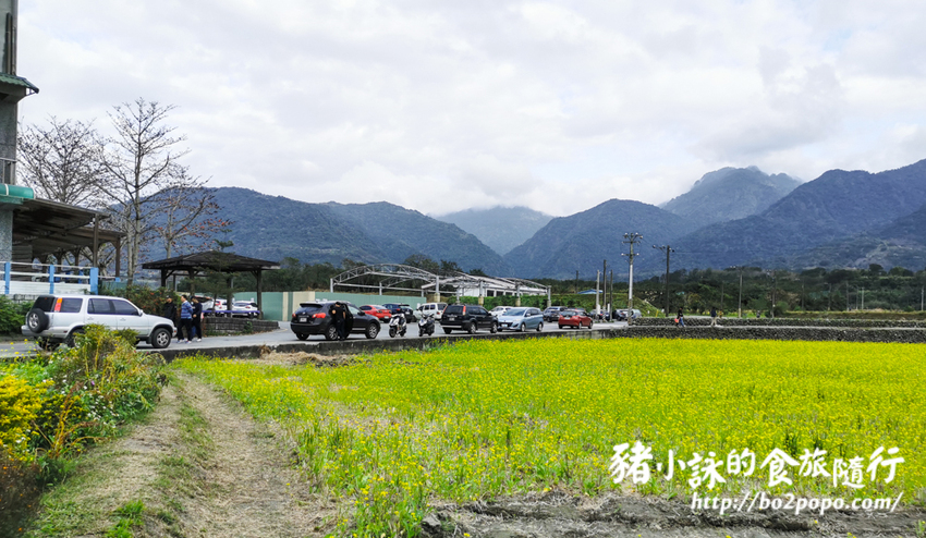 花蓮。富里》2021花蓮富里稻草藝術季，大型稻草動物可愛又好拍 - 豬小詠的食旅隨行