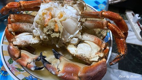 0202 維京三寶18.jpg