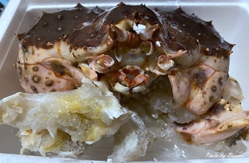 0202 維京三寶02.jpg