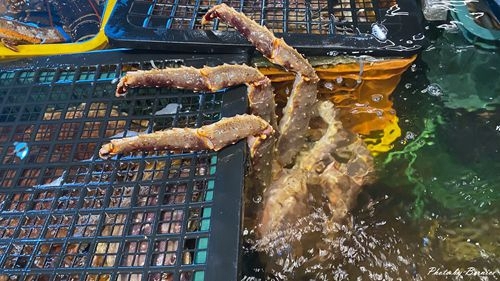 0202 維京三寶05.jpg