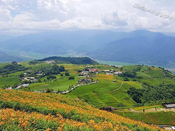 20200831_130207.jpg 20200831_130207.jpg