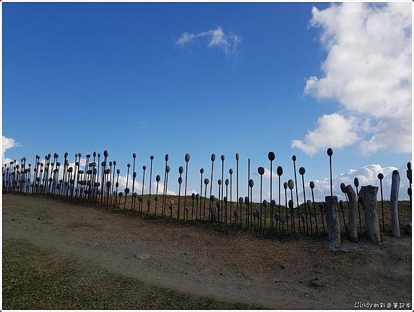 20190207_083101.jpg 20190207_083101.jpg