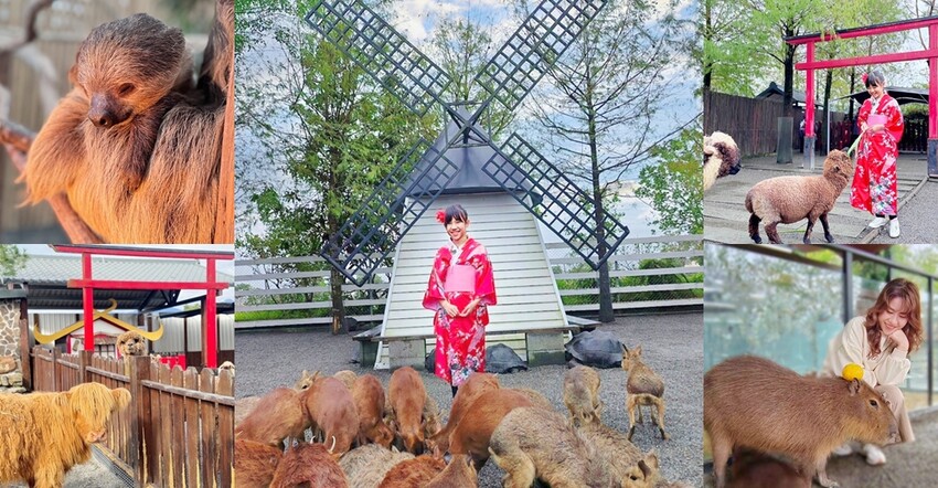 麻油雞界的人氣王!阿圖麻油雞博愛店麻油雞+麵線絕對要吃。