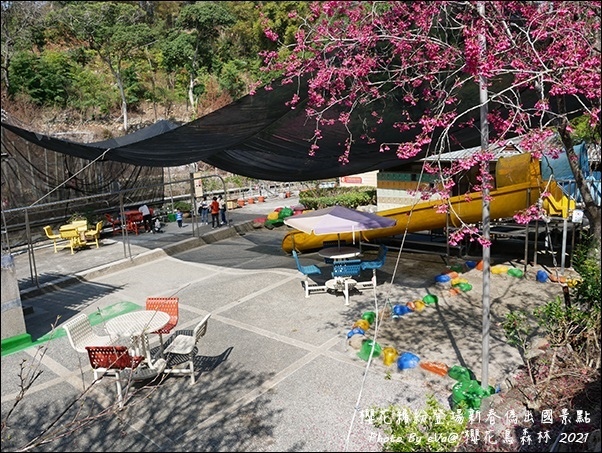 櫻花鳥森林-43.jpg