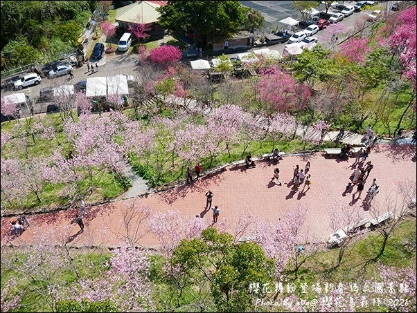 櫻花鳥森林-88.jpg