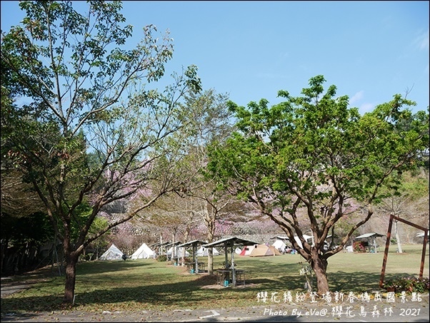 櫻花鳥森林-28.jpg