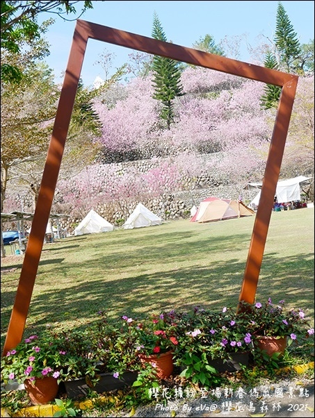 櫻花鳥森林-29.jpg