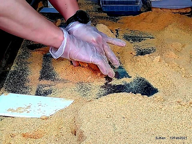 Malt peanut candy booth at Taoyuan ,桃園大溪老街蔡記花生麥芽糖, DaHsi area,Taoyuan city, North Taiwan, Feb 12, 2021. SJKen