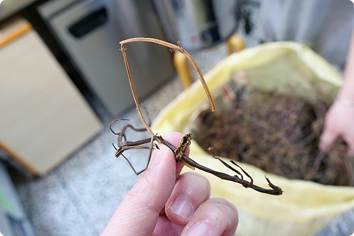 宜蘭美食 ⎮冰點老店綿綿冰。暖胃就來這一碗!必點燒仙草、黑糖豆花、仙草奶凍,還有隱藏版仙草冰也別錯過喔! @捲捲頭 Wonderful 品味。生活