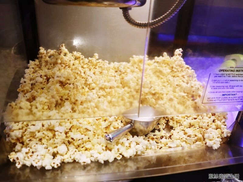 貴族世家龍岡店-桃園中壢/排隊超人氣.豐富沙拉吧吃到飽 - 潔絲蜜愛生活