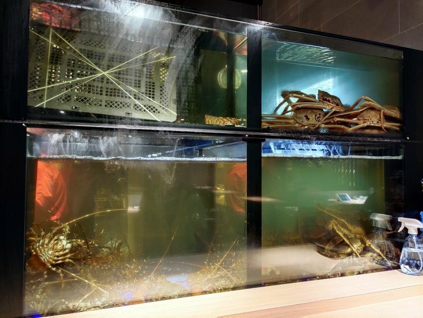 【桃園美食】坐著做日本料理．主打無菜單料理，單點也好吃!